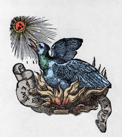 Főnix (vagy főnix), legendás madár ábrázolása, amely hamvaiból újjászületett. századi metszet alkotó: Unknown artist