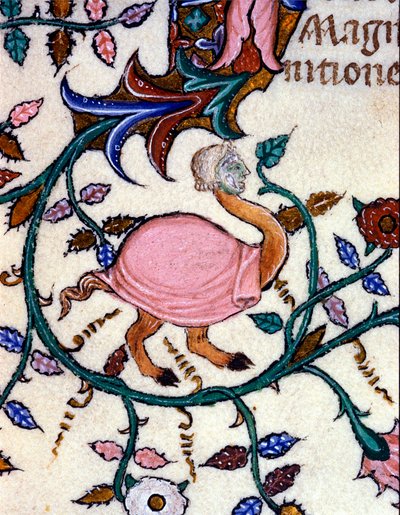 Egy szörnyeteg ábrázolása strucctesttel és emberi fejjel. 14. századi kézirat miniatűrje. Milánó, Biblioteca Nazionale Braidense. alkotó: Unknown artist