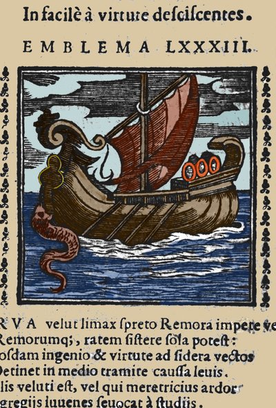 Egy remora ábrázolása, amely Plinius, Szent Ambrus és Rabelais történetei szerint úgy támadta meg a hajókat, hogy a farkát tapadókoronggal egy sziklához erősítette, és szájával elzárta a hajót. Metszet egy 17. századi műből alkotó: Unknown artist