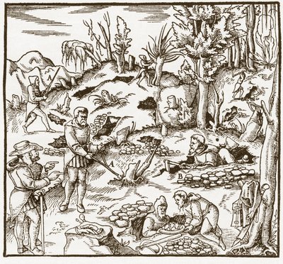 Rhabdomancia – rhabdomancie – Bányamező feltárása a jósló pálcával – A férfiak jósbotot vágnak és használnak ásványok felkutatására – Georgius Agricola (Georg Bauer) „De re metallica” című könyvéből, Basel alkotó: Unknown artist