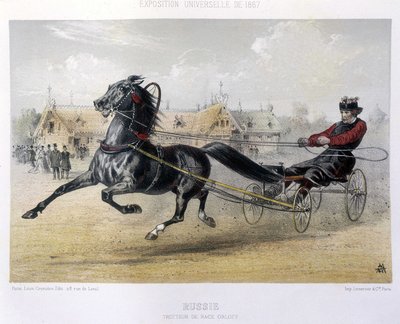 Oroszország: Orloff fajta ügető - a "" The Kentaur" című filmben 1867 alkotó: Unknown artist