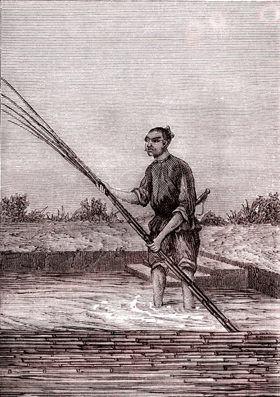 A nedves bambusz rozsdásodása, papírgyártás Kínában (Kr. e. 3. század) (metszet) alkotó: Unknown Artist