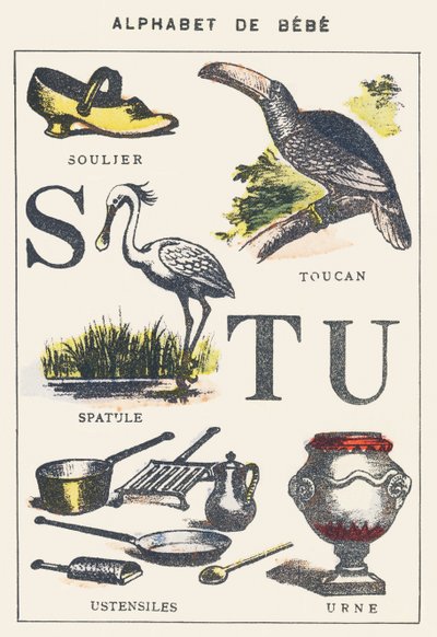 S T U: cipő, spatula, tukán, edények, urna alkotó: Unknown artist