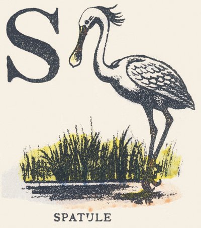 S: spatula alkotó: Unknown artist