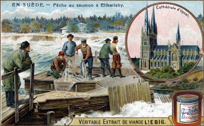 Lazachalászat Elfkarlebyben, Svédországban. Kromolitográfia, Liebig-kép. alkotó: Unknown artist