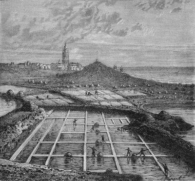 Sauniers egy sós mocsárban Bourg de Batzban, Croizic közelében (Bretagne) a Saunage időszakában. Louis Figuier „Az ipar csodái” című könyvében. alkotó: Unknown artist