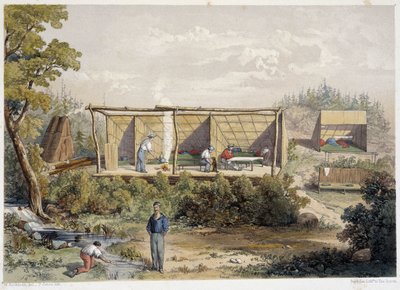 Telepesek tábora Kanadában – William Hickman, szerk. Halifax alkotó: Unknown artist
