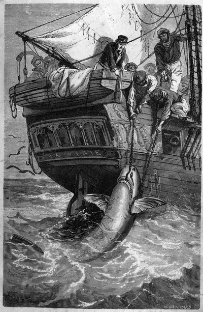 Cápa horgászat. (Pesca allo squalo) 19. századi metszet. Magángyűjtemény. alkotó: Unknown artist