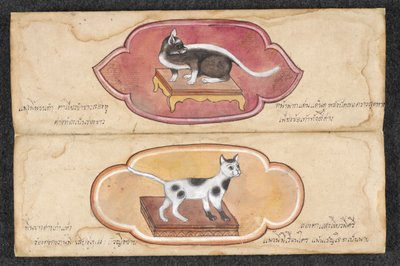 Sziámi macskák alkotó: Unknown artist