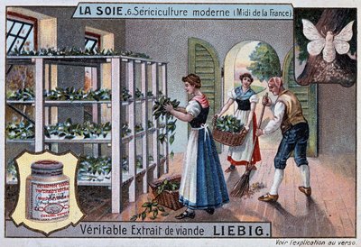 Selyem: selyemműhely Dél-Franciaországban, Liebig reklám, 1895. v alkotó: Unknown artist