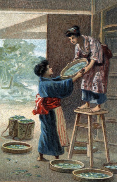 Selyemhernyó-tenyésztés japán mágnesben. A 19. század végének kromolitográfiája. alkotó: Unknown artist