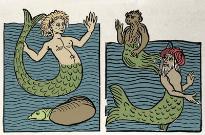 Sirene vagy Tengeri Szűz, Majom és Tengeri Török. Metszet a „Hortus sanitatis”-ból” alkotó: Unknown artist