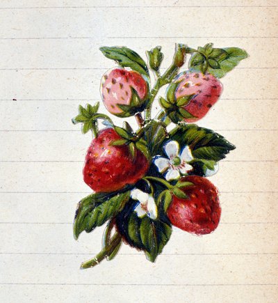 Eper. 19. századi kromolitográfia. alkotó: Unknown artist