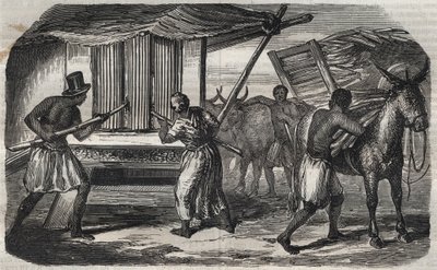 Cukorgyártás: cukornádmalom a nyugat-indiai cukorgyárban. Metszet 1859-ből. alkotó: Unknown artist