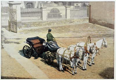 Nyári trojka – fényképezés, 19. század vége alkotó: Unknown artist