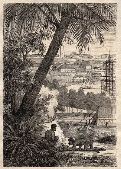 Nicolas Baudin (1754-1803) expedíciója a déli földekre (1800-1803): Sydney látképe (Ausztrália) - illusztráció a „18. századi nagy tengerészek” c. alkotó: Unknown artist