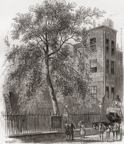 The Plane Tree, Wood Street, Cheapside, London, Anglia a 19. században alkotó: Unknown artist