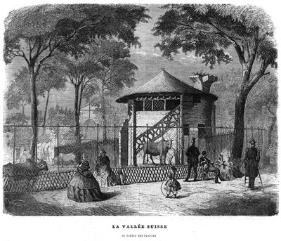A svájci völgy a párizsi növénykertben 1858-ban. alkotó: Unknown artist