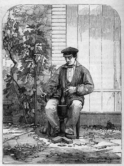 A pezsgő bor palackozása. Metszet 1864-ből. alkotó: Unknown artist