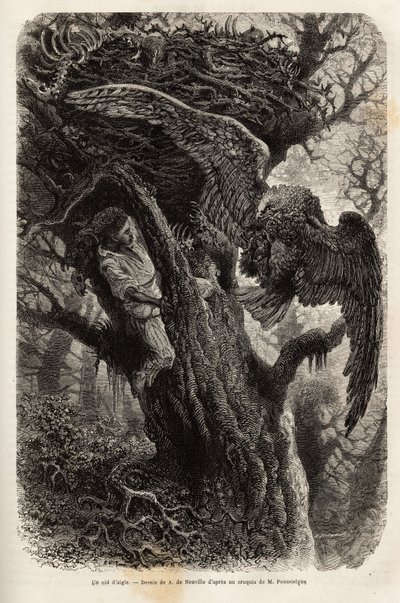A sas védi fészkét a betolakodóktól. Metszet a Quatre mois en Florida című történet illusztrálására, M. Pousselgue, 1851-1852, megjelent a „” le tour du monde”-ban, D