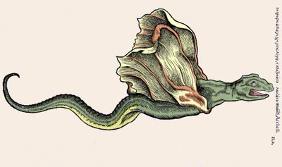 A repülő sárkány Amphiptere (Amphithere vagy Amphitere vagy Amphipthere) Conrad Gesner (1516-1565), Tiguri metszete a Historia Animaliumban alkotó: Unknown artist