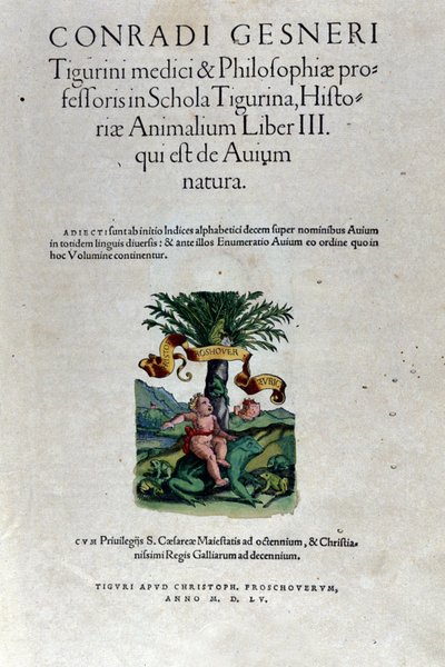 Conrad Gesner (1516 - 1565), Tiguri Historia Animalium harmadik kötetének előlapja alkotó: Unknown artist