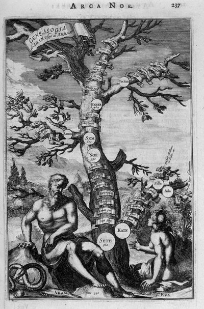 A genealógiai fa Ádámtól Ábrahámig - Biblia alkotó: Unknown artist