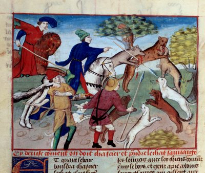 Vadmacska vadászata Miniatűr Gaston III Phoebus, Foix grófja, Bearn ura (1331-1391) „A vadászat könyvéből” alkotó: Unknown artist
