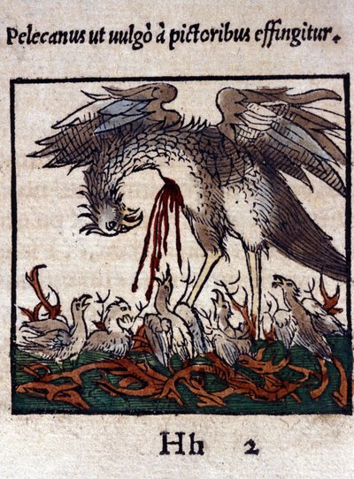 A pelikán legendája: vérét és beleit adja fiókáinak etetésére. Konrad Gesner, Tiguri Historiae animaliumból alkotó: Unknown artist