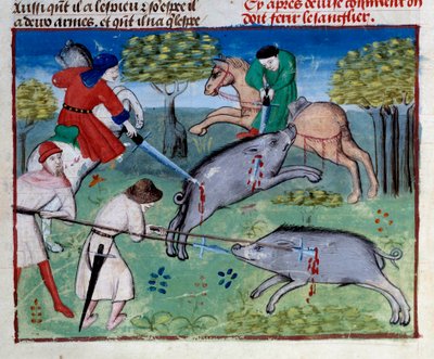 Gaston III Phoebus, Foix grófja, Bearn ura (1331-1391) miniatűr vaddisznóvadászata a „A vadászat könyvéből” alkotó: Unknown artist