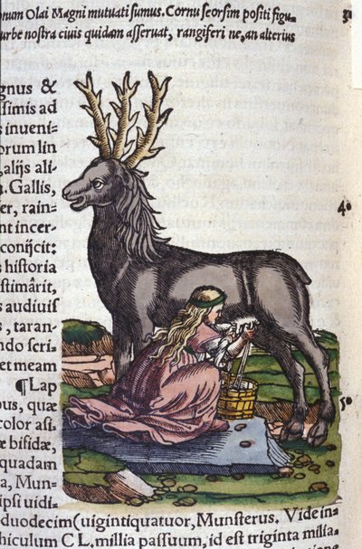 A rénszarvaskereskedelem Konrad Gesner, Tiguri Historia animalium után alkotó: Unknown artist