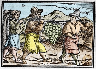 Józsué és Káleb visszatérése egy hatalmas szőlőfürttel Kánaán földjéről (Ígéret Földje). Johann Stumpff krónikája "" Den edlen strucen besten fromen"" alkotó: Unknown artist