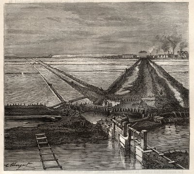 Giraud sós mocsara a Camargue-ban (Bouches-du-Rhone), kilátás a kiszolgáló csatornáról - Louis Figuier „Les Merveilles de l