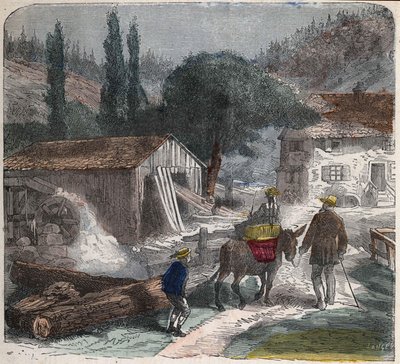 A fűrészmalom. 19. századi illusztráció. Bianchetti kollekció. alkotó: Unknown artist