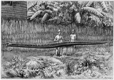 Egy 6,60 méter hosszú Python kígyó bőrét fogták be a Fülöp-szigeteken. (Fényképről). Metszet az 1892. július 16-i „” La Nature: revue des sciences et de leurs applications aux arts et a l