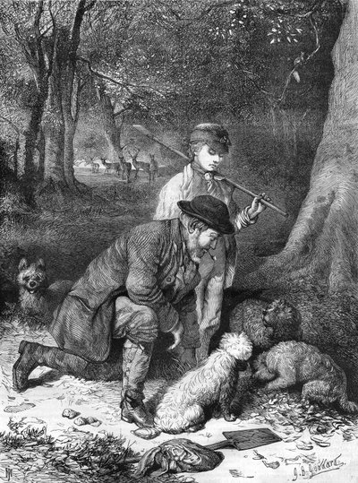 A szarvasgomba.metszet 1870-ből. alkotó: Unknown artist