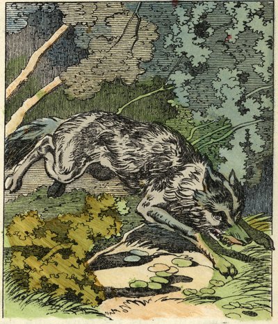 A farkas a nagymama házához fut. Illusztráció Charles Perrault „A Piroska” című meséjéről alkotó: Unknown artist