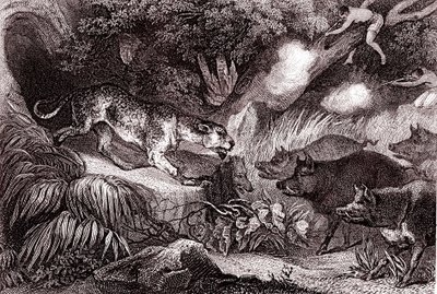 Tigrisvadászat az amazóniai erdőben(metszet) alkotó: Unknown Artist