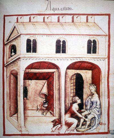 Az orvostudomány „Tacuinum sanitatis” értekezése 14. század: a melegvíz használata. B.N, Bécs. alkotó: Unknown artist