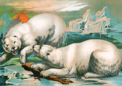 Két jegesmedve harcol pecsétért alkotó: Unknown artist