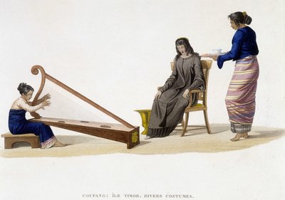 Különféle női jelmezek Timor-szigetről (Coupang). alkotó: Unknown artist