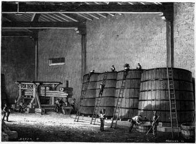 Burgundia borospincéiben használt kádak és présgépek Clos Vougeot 19. századi metszet alkotó: Unknown artist