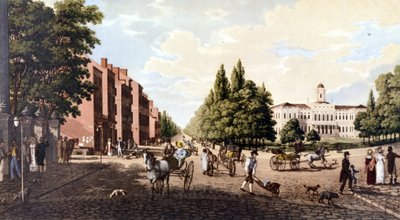 Kilátás New Yorkra: a Broadway és a városháza. SD litográfia a 19. század közepe táján. alkotó: Unknown artist