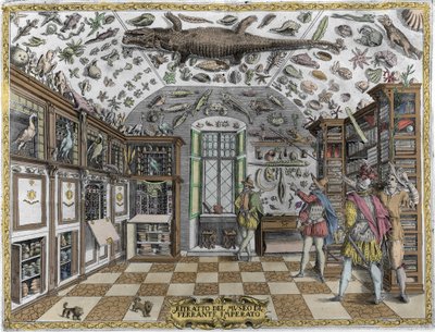 Ferrante Imperato (1550 - 1631) gyógyszerész érdekességeit bemutató múzeum (szekrény) (enciklopédikus múzeum) látképe. Metszet 1678-ból. Ferrante Imperato nápolyi patikus múzeuma. alkotó: Unknown artist