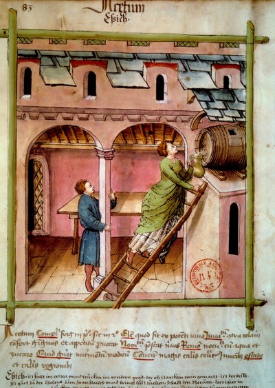 Ecet: egy fiatal nő megtölt egy kancsót. Megvilágítás az orvostudomány és a dietetika fejéséből "" Tacuinum sanitatis"" alkotó: Unknown artist