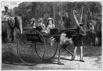 Séta egy elefánt és gyerekek hátán az osztrákok által vontatott kariolában. A párizsi Bois de Boulogne akklimatizációs kertje alkotó: Unknown artist