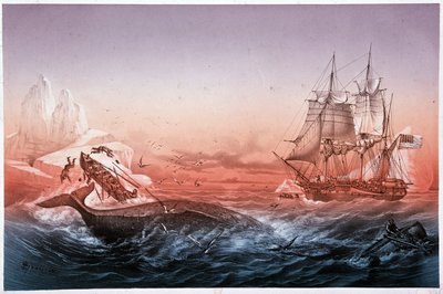 A bálnavadászhajónak nem sikerült megmentenie felborult bálnahajóit alkotó: Unknown artist