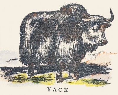 Y: jak alkotó: Unknown artist