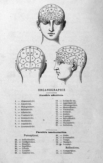 illusztráció Charles Rouvin 1873-as Organographie La Tête humaine című könyvéből, illusztrált frenológiai és fizionómiai tanulmányok híres szereplőkre alkalmazva Párizs 1873 alkotó: Unknown artist
