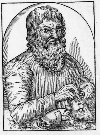 Hippokratész (460- Kr. e. 377 körül), görög orvos portréja. alkotó: Unknown artist